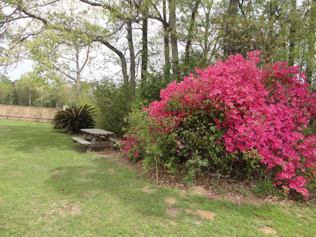 Garden Inn And Suites Silsbee מראה חיצוני תמונה
